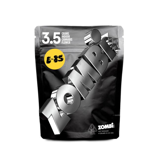 E-85 Indoor Zombi XYZ