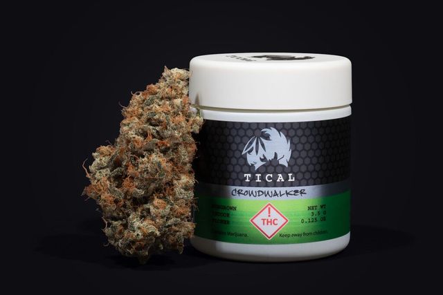 Crowdwalker Tical