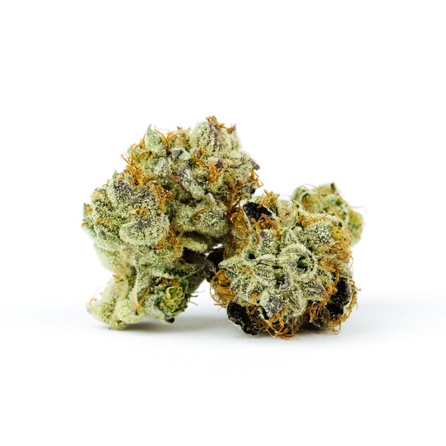 NF-1 UPNORTH HUMBOLDT