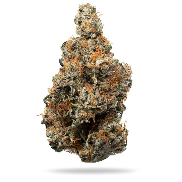 Innovate Macchiato Haze #8 Dime Jar Veritas