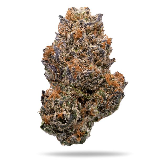 Rejuvenate Powdered Donuts Dime Jar Veritas