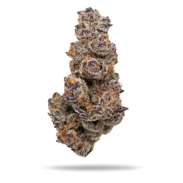 Innovate Super Boof Dime Jar Veritas