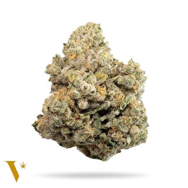 Innovate Yuk Mouth Dime Jar Veritas