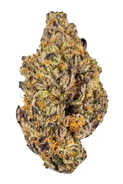 Invigorate Cake Crasher Veritas