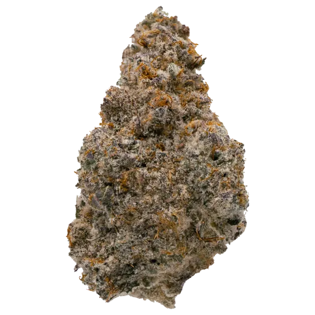 Invite Black Ice Dime Jar Veritas