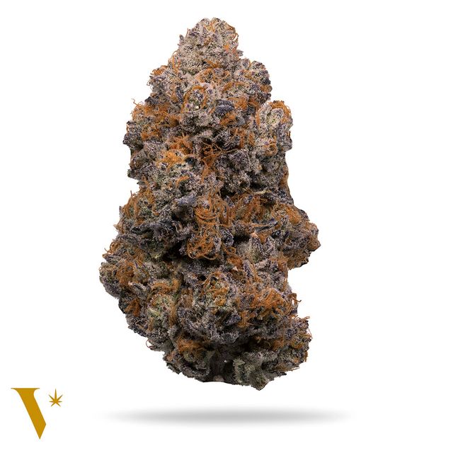 Invigorate Lemon Pastries Dime Jar Veritas