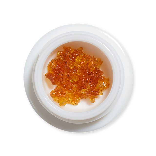 Trop Dog Sugar Summit